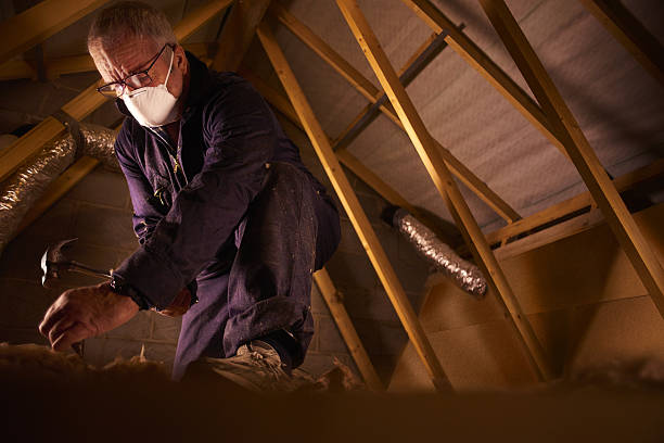 Best Insulation for Specific Applications in Wrangell, AK