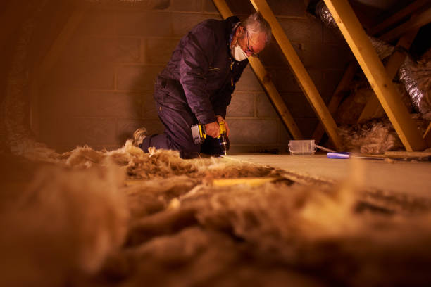 Best Insulation Maintenance and Repair in Wrangell, AK